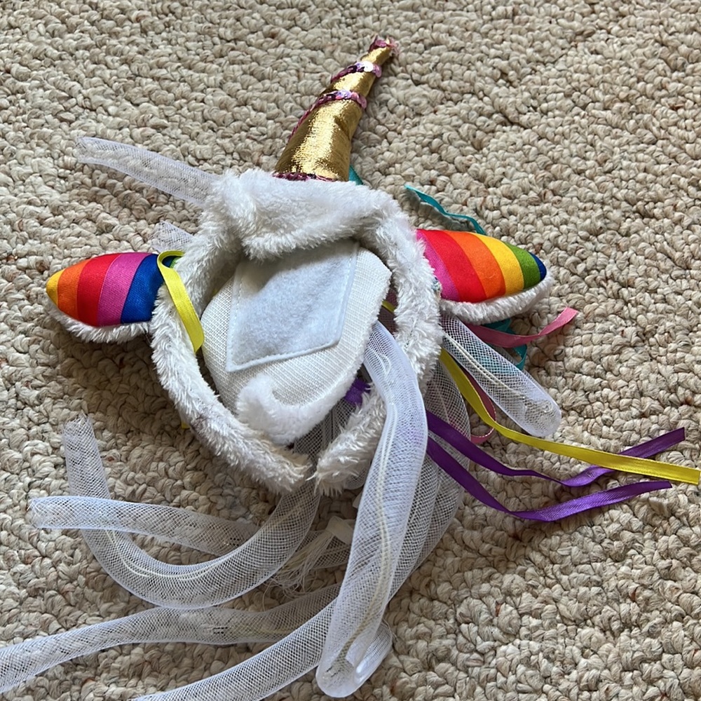 Costume - Picture 4 of 7